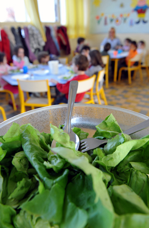 Salade verte pour repas "bio"