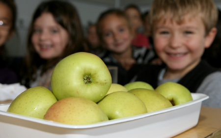 Les enfants étaient visiblement heureux de manger des pommes au dessert