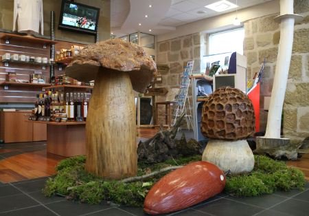 Des champignons géants à découvrir à l'office de tourisme