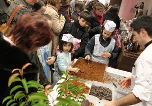 Atelier truffes au chocolat pour les petits