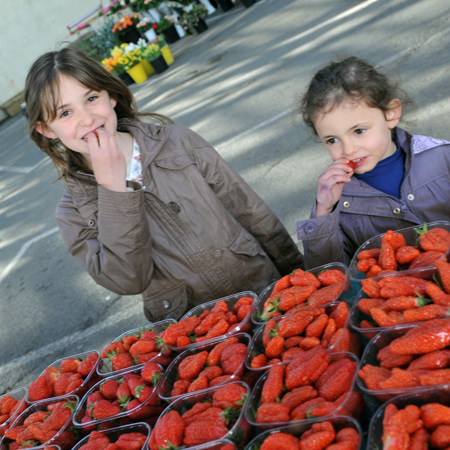 les filles goutent les fraises