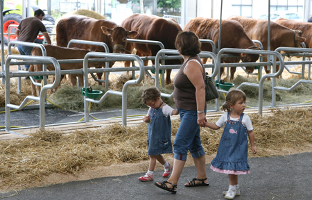 Festival de l'élevage. Photo archives Diarmid Courrèges