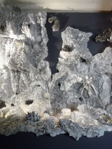 Fond marin fantôme, une allégorie des ravages des activités humaines sur les coraux et biotopes marins