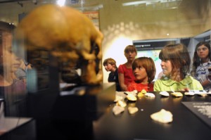 rencontre avec les squelettes du musée