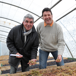 Jean-Louis Roche, président du syndicat viticole et Gérard Tronche, producteur de vin paillé