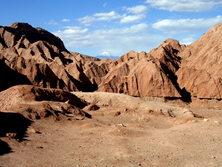 Etoile d'Atacama. DR