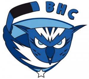 Logo Brive hockey club
