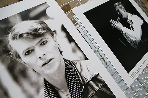 Portrait Bowie3