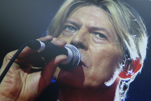 Portrait Bowie4