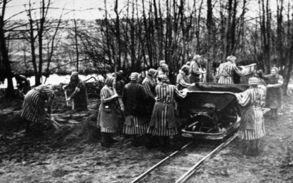 Le camp de concentration de Ravensbrück en 1939. (Crédit : Bundesarchiv, Bild, via Wikimedia Commons)